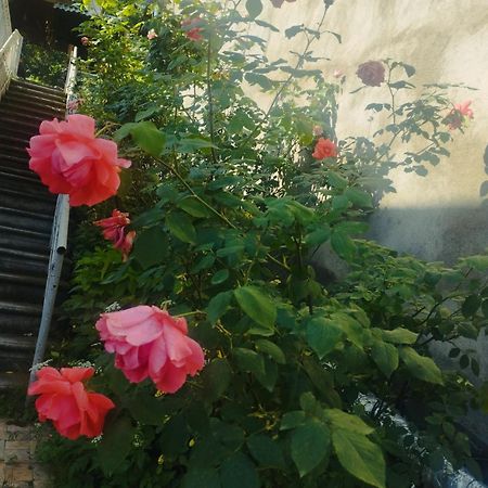Bbq House Dilijan Exterior foto
