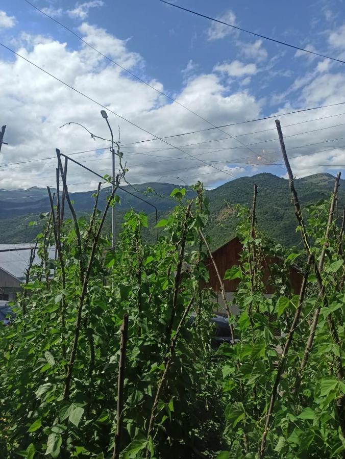 Bbq House Dilijan Exterior foto