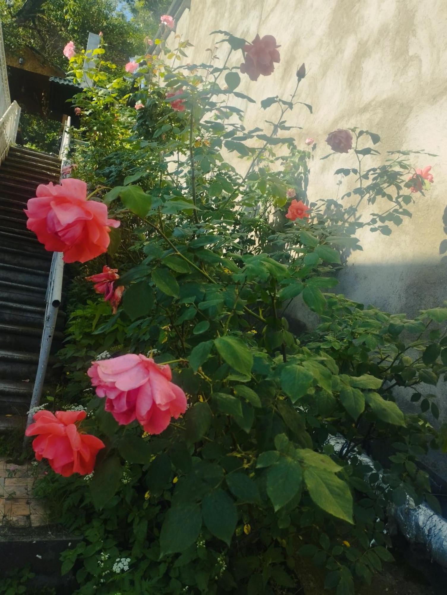 Bbq House Dilijan Exterior foto